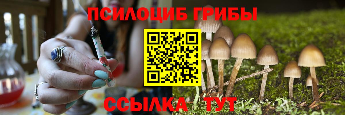 Галлюциногенные грибы прущие грибы  Вход с VPN  где можно купить   Звенигород 